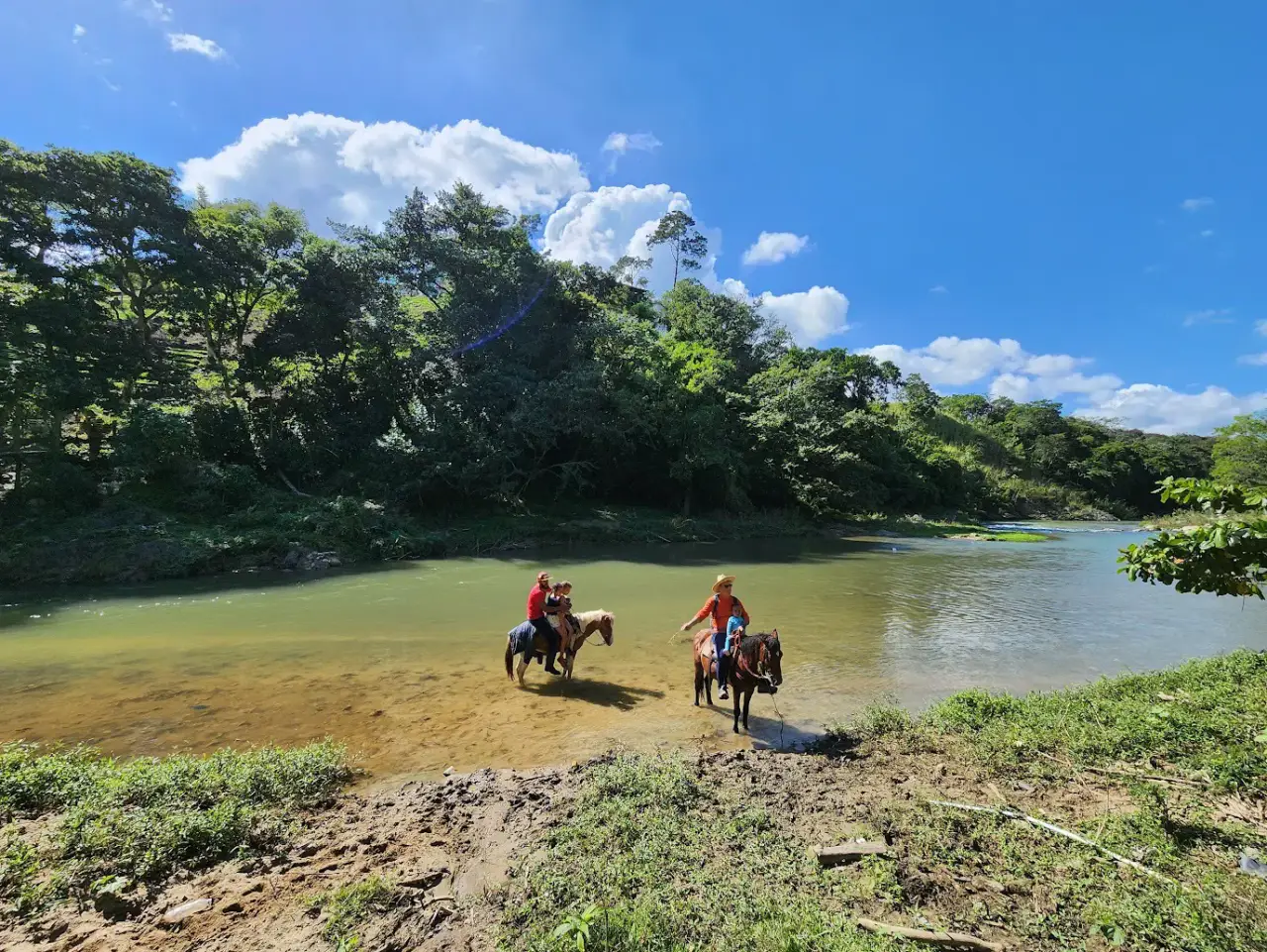 Horseback Riding